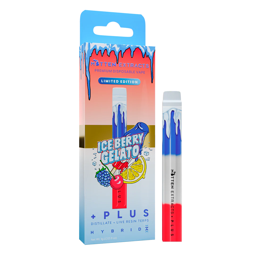 iceberry-box-disp ice berry gelato